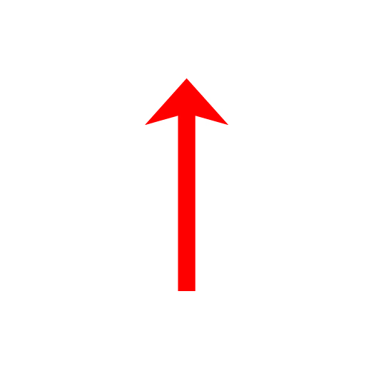 롱 (LONG)
