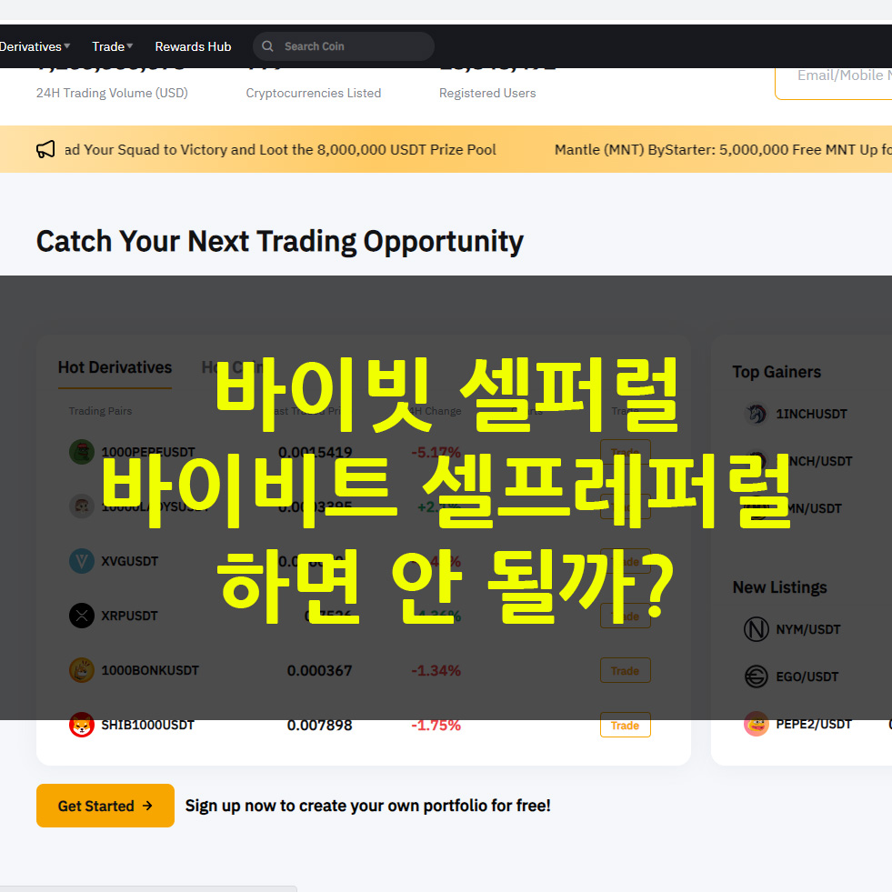 바이비트 셀퍼럴
