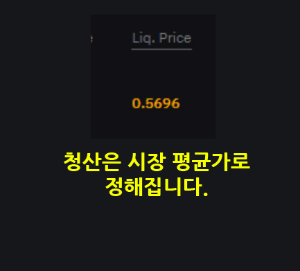바이비트 청산 Liq Price