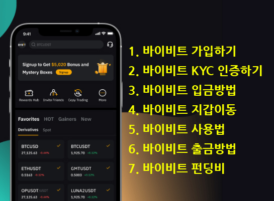 바이비트 하는 법