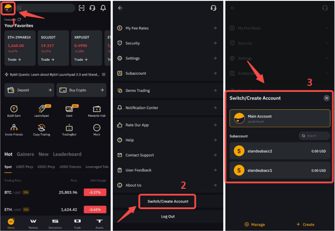 bybit Swich Account