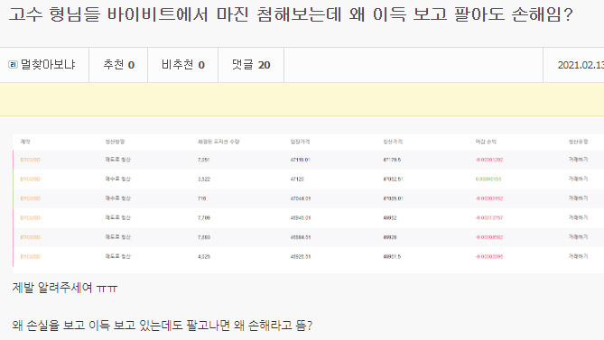 바이비트 이득 보고 손해