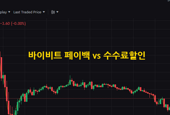 바이비트 페이백 vs 수수료 할인
