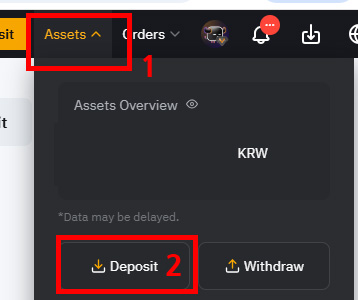 Bybit Deposit